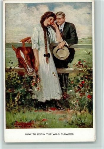 Nr. 834 c Munk sign Underwood - How to know the wild flowers
