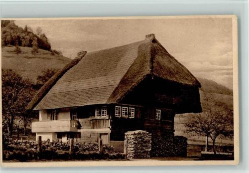 Schwarzwald Studien Nr. 3 AK