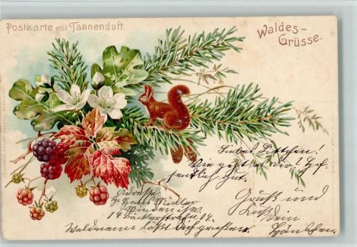 Tannenduft, Waldes Grüsse - Eichhörnchen , Waldbeeren AK kleine Flecken Duftkarte Lithographie