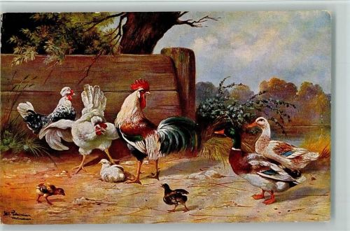 Serie Peluba 255 - Hühner und Enten