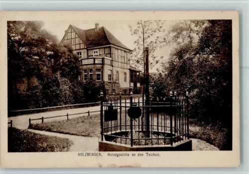 37603 W3450 Holzminden 1927 - Herzogseiche an den Teichen u. Villa AK ( Bäume)