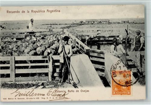 Estancia Bano de Ovejas Schafe Motiv Argentinien 1904