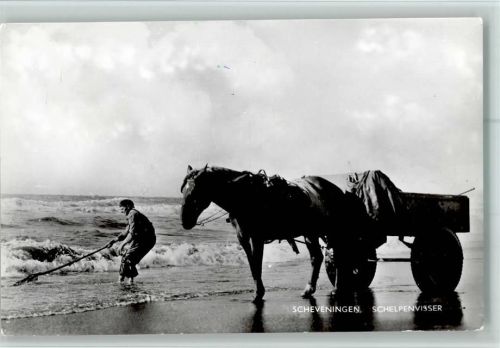 1959 Scheveningen - Schelpenvisser AK