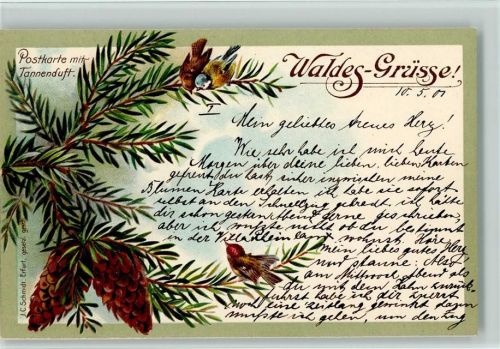 1900 Karte mit Tannenduft, Tannenzapfen , Verlag J.C. Schmidt