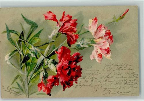 Blumen Nelken litho 1901 AK