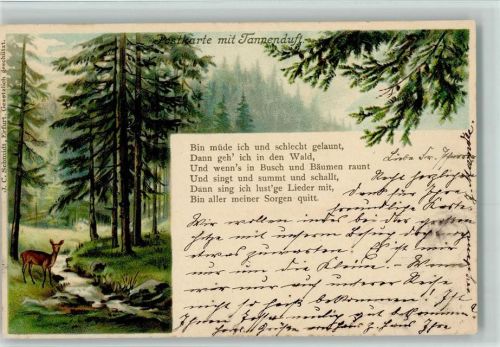 Tannenduft - Gedicht . Reh im Wald AK