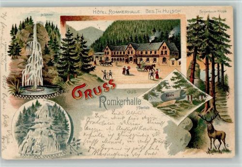 38640 W3380 Goslar 1898 Lithographie Gruss aus - Hotel Romkerhalle , Feigenbaum Klippe, Wasserfall AK