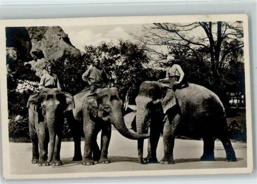 1927 Indische Elefanten mit Inder AK
