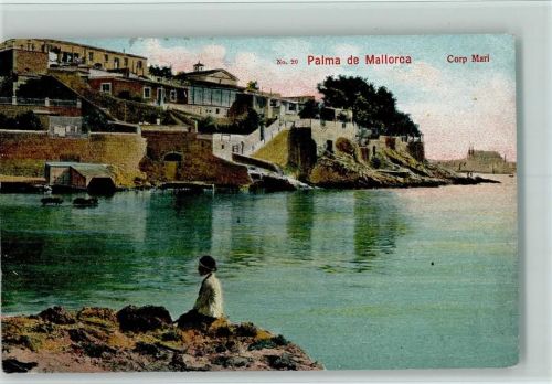 Palma 1910 Corp Mari AK