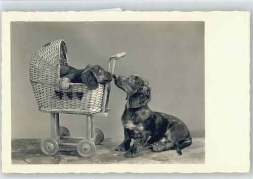 Puppenwagen mit Dackel Foto 1940 AK