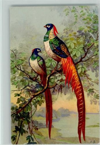 sign E.B. Paradiesvögel Vogel