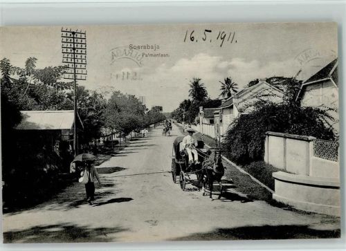 Surabaya 1911 Palmenlaan
