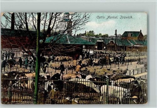 1908 Cattle Market - Marktszene,