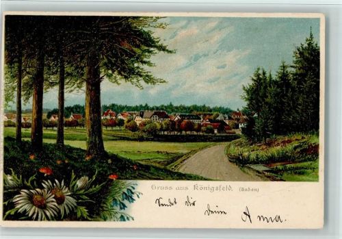 Königsfeld Blick auf Königsfeld Pilze Edelweiss