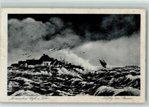 Wyk Hallig im Sturm MS Nordfriesland