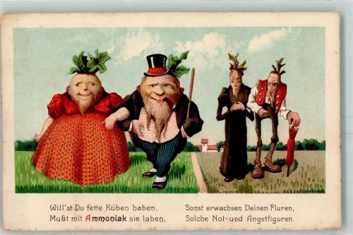 Werbung Ammoniak AK Frucht, Gemüse vermenschlicht Lithographie