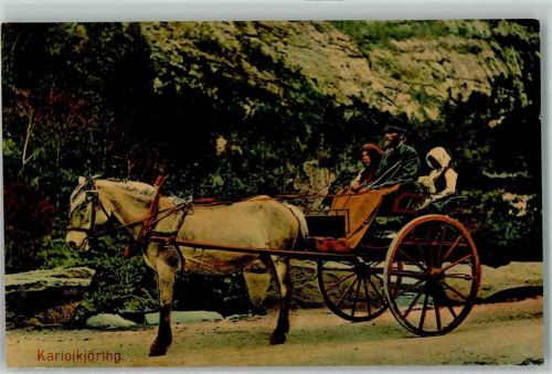 1911 Fjordpferd Kutsche