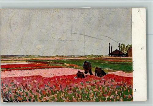 Serie XXI, 6 Prof. Bartels - Tulpenfelder AK