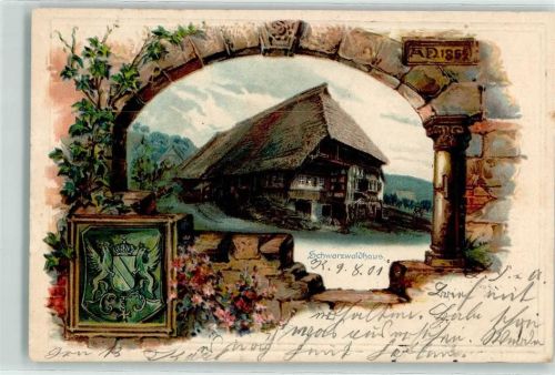 1901 Wappen Schwarzwaldhaus Blick durch die Mauer AK