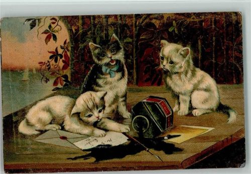 ist umgekippt - weiße Katzen spielen - Hoffmann Stärke Werbung