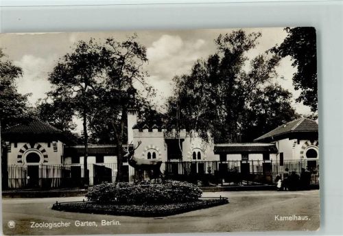 Zool. Garten Berlin - Kamelhaus Foto 1929 AK Zoo