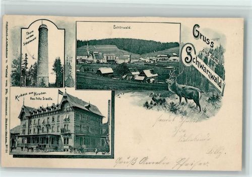 Schönwald 1901 Turm auf dem Stöcklewald Kurhaus zum Hirschen Hirsch