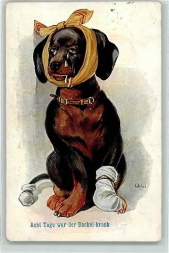Der Hund ist krank Künstlerkarte AK