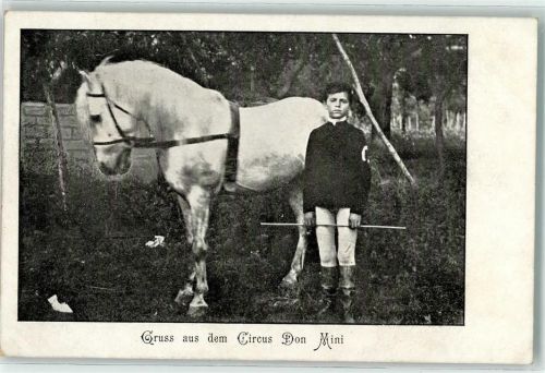 Zirkus Don Mini mit einem Pferd AK Zirkus