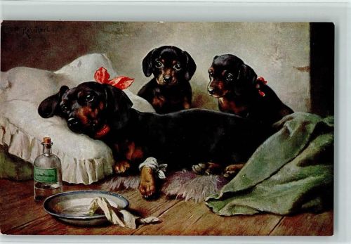 TSN Serie 1915 - Dackel mit Medizin AK