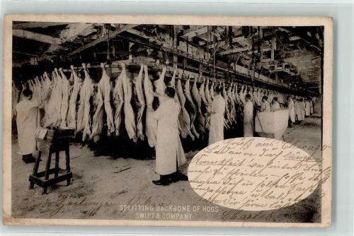 1905 Greeley Splitting Backbone of Hogs Swift & Company - Industrie Fleicherei Beruf