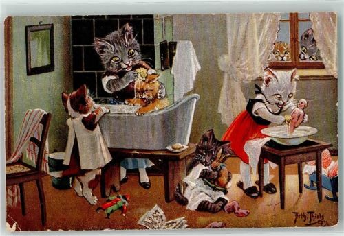 Katzen vermenschlicht Puppen waschen TSN Serie 1602