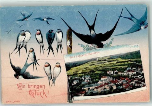 Bad Schwalbach 1919 Wir bringen Glück Bad Langenschwalbach Schwalbe Vogel