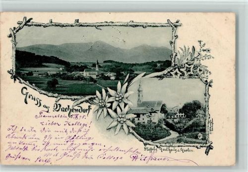 83377 W8221 Vachendorf , Kr Traunstein, Oberbay 1898 - Ortsansicht Steffels Gasthaus und Garten Edelweiß 2-Bildaufnahme