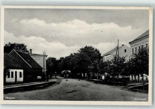 Päwesin Dorfstraße Hühner