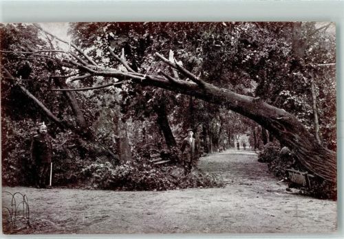 Chemnitz 1916 Sturm-Katastrophe Am Schlossteich
