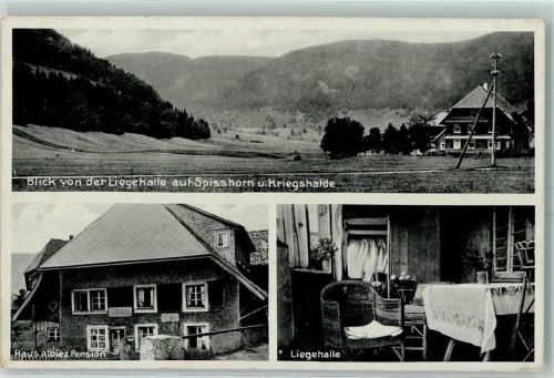 Menzenschwand Haus Albienz Pension Liegehalle