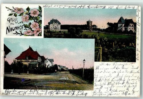 04683 O7245 Naunhof b Grimma 1913 - Dorfstraße Blütenzweig