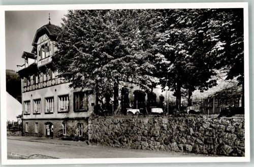 Hornberg Gasthaus zum Krokodil