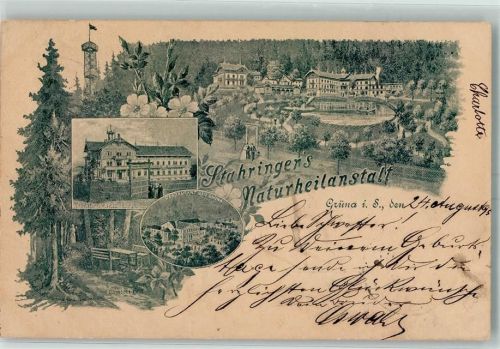 Grüna 1895 Stahringers Naturheianstalt
