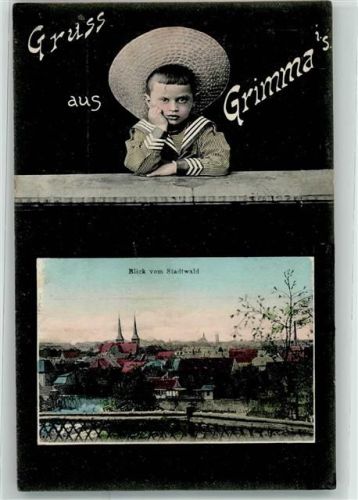 Grimma 1907 Blick vom Stadtwald
