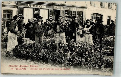 Quimper Marktszene Blumen