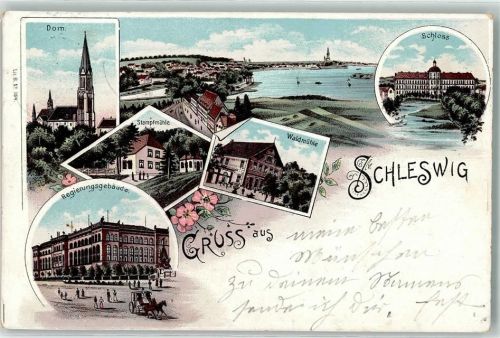 Schleswig 1898 Dom Schloss Stampfmühle Waldmühle Regierungsgebäude Kutsche Blumen Gruss