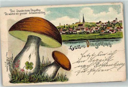 Dingolfing 1912 Schwammerling Pilze Glücksklee