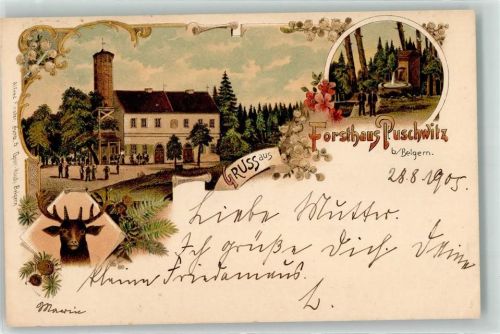 Belgern 1905 Gasthaus Forsthaus Puschwitz Hirsch