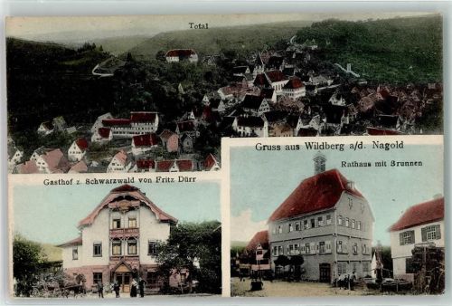 Wildberg 1909 Gasthaus z. Schwarzwald Rathaus mit Brunnen