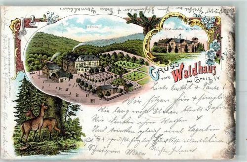 Greiz 1898 Waldhaus Füstl. Jagdschloss Ida-Waldhaus Rehe