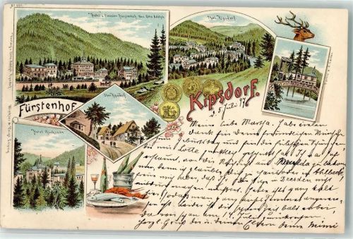 01773 O8242 Kipsdorf 1897 Lithographie Hotel Pension Fürstenhof Otto Adolph Tal Ober-Kipsdorf Hummer Münzen