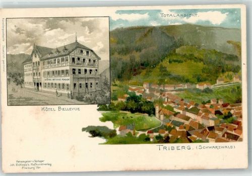 Triberg Hotel Bellevue