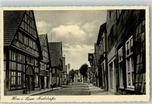 Horn-Bad Meinberg Nordstraße Hakenkreuzfahne AK WK II