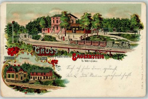 Werdau 1902 Gruss von Haltestelle Bauernsteig Försterei Eisenbahn Lok Blumen Lithographie Bahnpost Werdau